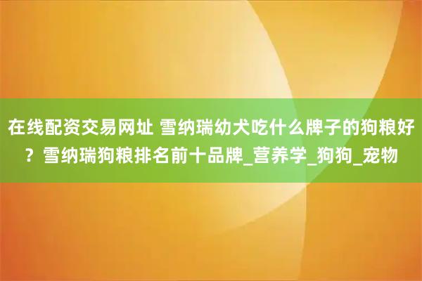在线配资交易网址 雪纳瑞幼犬吃什么牌子的狗粮好？雪纳瑞狗粮排名前十品牌_营养学_狗狗_宠物