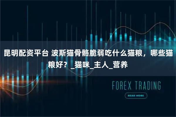 昆明配资平台 波斯猫骨骼脆弱吃什么猫粮，哪些猫粮好？_猫咪_主人_营养