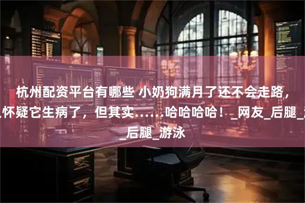 杭州配资平台有哪些 小奶狗满月了还不会走路，主人怀疑它生病了，但其实……哈哈哈哈！_网友_后腿_游泳